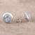 Rainbow moonstone stud earrings, 'Moonlit Pools' - Rainbow Moonstone and Sterling Silver Stud Earrings