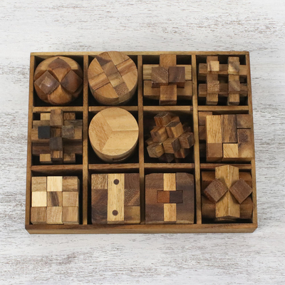 Wood puzzle set with box, 'Array of Challenges' (set of 12) - 12 Handcrafted Wood Puzzles with Box from Thailand