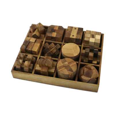 Wood puzzle set with box, 'Array of Challenges' (set of 12) - 12 Handcrafted Wood Puzzles with Box from Thailand