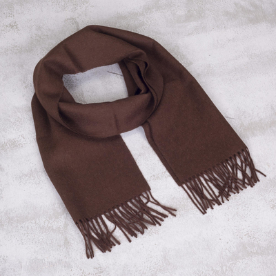 Men's 100% alpaca scarf, 'Earth Brown' - Men's 100% alpaca scarf