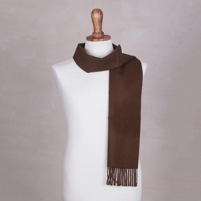 Men's 100% alpaca scarf, 'Earth Brown' - Men's 100% alpaca scarf
