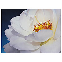 'Corola iluminada' - Pintura al óleo firmada de una rosa blanca