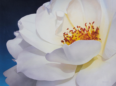 'Illuminated Corolla' - Signed Oil Painting of a White Rose