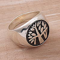 Featured review for Sterling silver signet ring, Beringin Magic