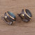 Gold accented labradorite button earrings, 'Radiant Unity' - Gold Accent Labradorite and Sterling Silver Button Earrings (image 2c) thumbail