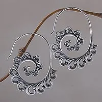 Paisley Ferns