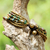 Beaded brass bracelet, 'Joy' - Hand Crafted Brass and Jasper Bracelet from Thailand (image 2c) thumbail