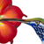 Steel wall art, 'Colibrí' - Hummingbird and Red Flower Steel Wall Art Crafted by Hand (image 2c) thumbail