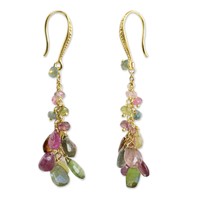 Gold plated tourmaline dangle earrings, 'Precious Rainbow' - Multicolor Tourmaline Cluster Gold Plated Earrings