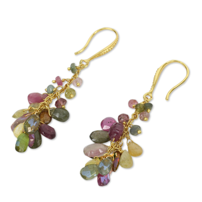 Gold plated tourmaline dangle earrings, 'Precious Rainbow' - Multicolor Tourmaline Cluster Gold Plated Earrings