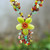 Serpentine and carnelian flower necklace, 'Dazzling Bloom' - Hand Made Floral Carnelian and Serpentine Necklace
