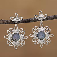 Labradorite dangle earrings, 'Delightful Forest' - Labradorite and Sterling Silver Dangle Earrings from India