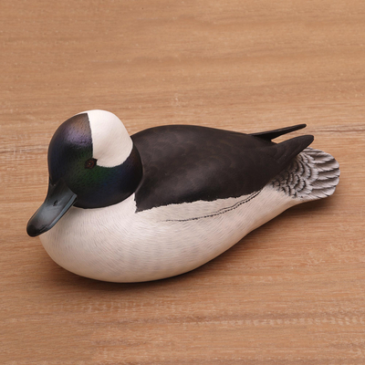 Wood sculpture, 'Male Bufflehead Duck' - Wood Bird Sculpture