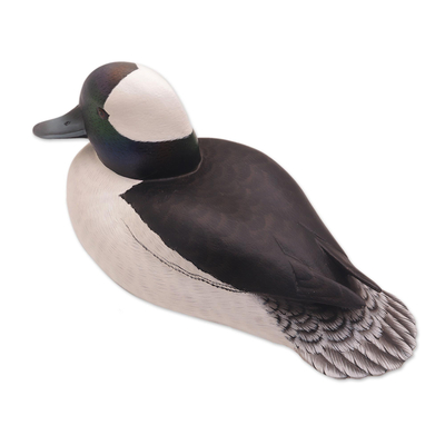 Wood sculpture, 'Male Bufflehead Duck' - Wood Bird Sculpture