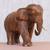 Wood statuette, 'Gentle Elephant' - Hand Carved Raintree Wood Elephant Statuette