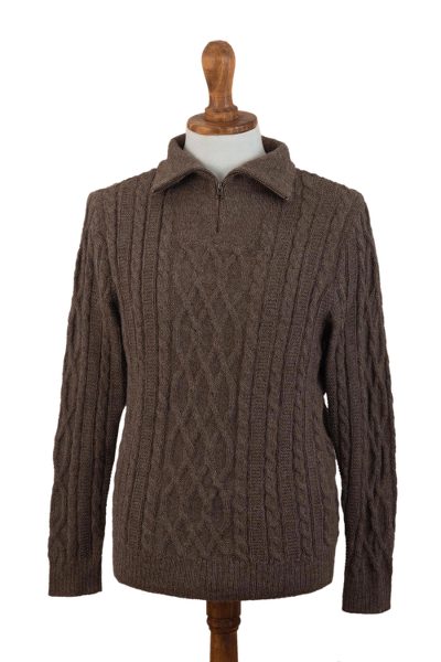 Men's 100% alpaca pullover sweater, 'Woodland Walk in Mushroom' - Brown Men's 100% Alpaca Sweater