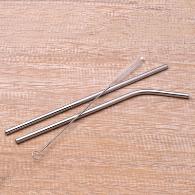 Stainless steel straws, 'Hydrate' (pair) - Stainless Steel Drinking Straws with Storage Pouch