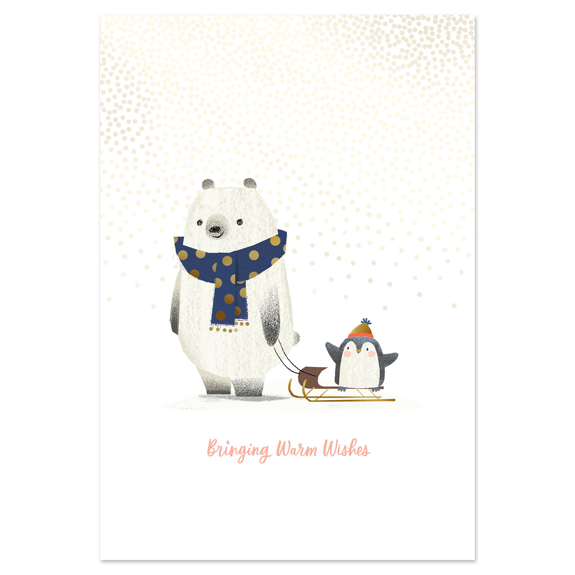 unicef-market-animal-themed-unicef-holiday-cards-set-of-12-the