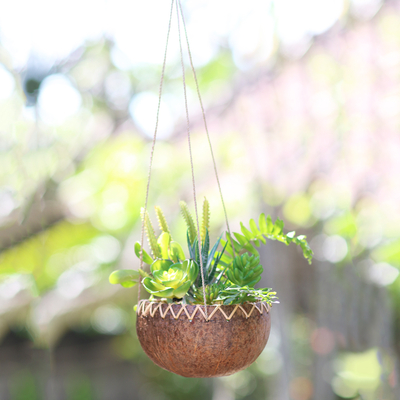 Coconut shell hanging planter, 'In the Rough' - Hanging Coconut Shell Plant Pot