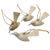 Wood ornaments, 'Take Flight' (set of 4) - Hand Crafted Hibiscus Wood Bird Ornaments (Set of 4)