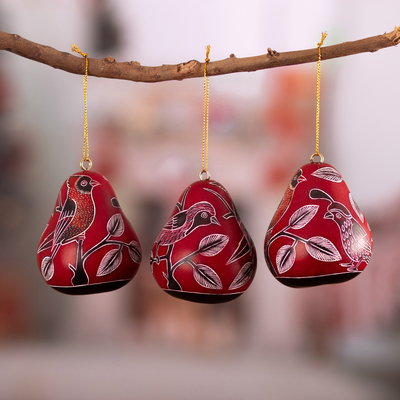 Dried mate gourd ornaments, 'Moon Birds' (set of 3) - Dried Mate Gourd Hanging Bird Ornaments from Peru(set of 3)