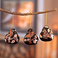 Dried mate gourd ornaments, 'Sun Birds' (set of 3) - Peruvian Handmade Dried Mate Gourd Bird Ornaments (set of 3)