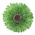 Natural gerbera brooch pin, 'Splendid Petals in Moss Green' - Natural Gerbera Flower Brooch in Moss Green from Thailand