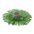 Natural gerbera brooch pin, 'Splendid Petals in Moss Green' - Natural Gerbera Flower Brooch in Moss Green from Thailand