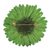 Natural gerbera brooch pin, 'Splendid Petals in Moss Green' - Natural Gerbera Flower Brooch in Moss Green from Thailand