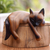 Estatuilla de madera, 'Felino durmiente' - Estatuilla de gato siamés de madera de Suar durmiente