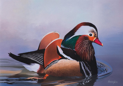 'Caresses of Water' - Signed Painting of a Mandarin Duck from Peru