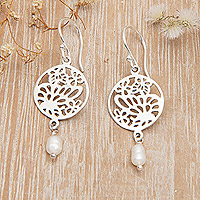 Cultured pearl dangle earrings, 'Heavenly Butterfly' - Polished Sterling Silver Dangle Earrings with Grey Pearls