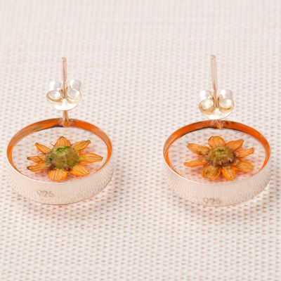 Sterling silver and resin stud earrings, 'Sweet Bloom' - Real Flower Resin Stud Earrings with Sterling Silver Accent