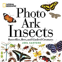 'Photo Ark Insects: Butterflies, Bees and Kindred Creatures' - Photo Ark Insects National Geographic Hardcover Book