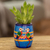 Ceramic mini flower pot, 'Colorful Macaws' - Hand-painted Ceramic Mini Flower Pot Crafted in Guatemala