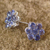 Iolite earrings, 'Cornflowers' - Floral Sterling Silver Button Iolite Earrings from India