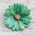 Natural aster brooch pin, 'Let It Bloom in Turquoise' - Natural Aster Flower Brooch in Turquoise from Thailand