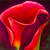 'Pink Calla Lily' - Stretched Impressionist Oil on Canvas Calla Lily Painting