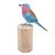 Wood statuette, 'The Eastern Bluebird' - Hand-Carved and Hand-Painted Teak & Suar Wood Bird Statuette