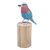 Wood statuette, 'The Eastern Bluebird' - Hand-Carved and Hand-Painted Teak & Suar Wood Bird Statuette