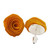 Wood button earrings, 'Honey Beauty' - Rose-Themed Honey Eucalyptus Wood Button Earrings