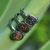 Brazilian drusy agate stacking rings, 'Samba Glitz' (set of 3) - Unique Rhodium Plated Multi-Stone Drusy Rings (Set of 3)