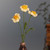 Crocheted home accents, 'Daffodil Spring' (set of 3) - Armenian-Made Set of 3 Knit Daffodil-Shaped Home Accents