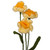 Crocheted home accents, 'Daffodil Spring' (set of 3) - Armenian-Made Set of 3 Knit Daffodil-Shaped Home Accents