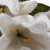 Crocheted home accents, 'Lily Nature' (set of 3) - Handcrafted Knit White Lily-Themed 3-Piece Home Accent Set