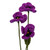 Crocheted home accents, 'Purple Pansy Spring' (set of 3) - 3-Piece Purple Pansy Home Accent Set Handmade in Armenia