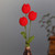 Detalles caseros de ganchillo (juego de 3) - Conjunto de acento de tulipán rojo de 3 piezas de 3 piezas hecha en Armenia