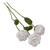Crocheted home accents, 'White Rose Spring' (set of 3) - Artisan-Made Crocheted 3-Piece White Rose Home Accent Set