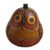 Dried mate gourd decorative box, 'Owl's Wisdom' - Mate Gourd Owl Decorative Container