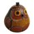 Dried mate gourd decorative box, 'Owl's Wisdom' - Mate Gourd Owl Decorative Container